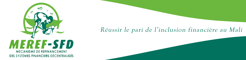 Bannière MEREF-SFD